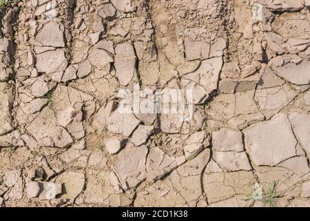 Soil crusting in field showing cracks as mud dries out & moisture evaporates. For soil science, UK drought, water shortage, cracks forming. Stock Photo