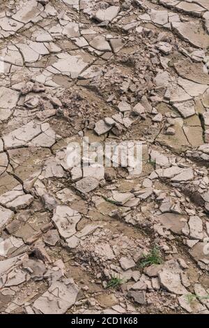 Soil crusting in field showing cracks as mud dries out & moisture evaporates. For soil science, drought in UK, water shortage, cracks forming. Stock Photo