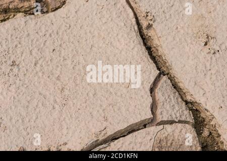 Dried field soil crust cracked and drying out, and showing raindrop impact of dried mud surface. For soil science, UK drought, water shortage. Stock Photo