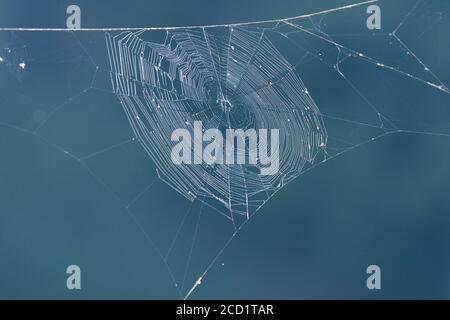 Sparkling spider web suspended in mid-air between two branches over the water in a lake creating a blurry, blue background. Stock Photo