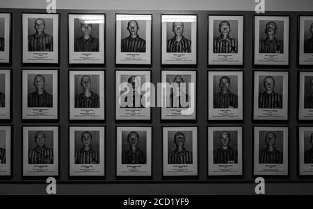 A collection of prisoner portraits displayed in the museum buildings of Auschwitz I. Stock Photo