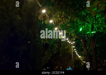 garden decorative lamps hang in a row on tree branches with green leaves in the backyard and glow with warm light in a romantic night atmosphere. Stock Photo