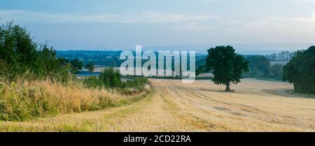 View over fields and rolling hills in English countryside during summer at sunset Stock Photo