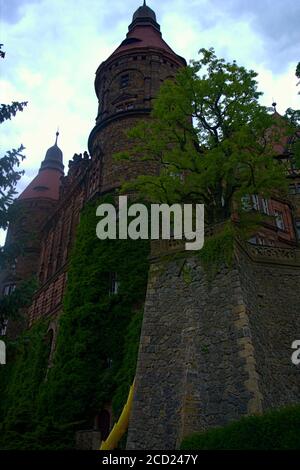 A stunning old castle tower with a vast quantity of vines growing on it Stock Photo