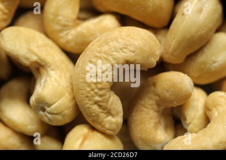 Cashew nuts -  roasted and salted cashews Stock Photo