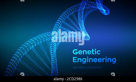 DNA sequence. Wireframe DNA molecules structure mesh. DNA code editable template. Science and Technology concept. Vector illustration. Stock Vector