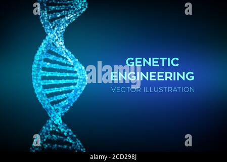 DNA sequence. Wireframe DNA molecules structure mesh. DNA code editable template. Science and Technology concept. Vector illustration. Stock Vector