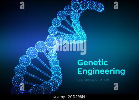DNA sequence. Wireframe DNA molecules structure mesh. DNA code editable template. Science and Technology concept. Vector illustration. Stock Vector