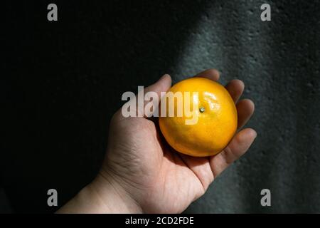 The human hand is holding an orange on the palm with the light coming from the window to the right. The background is dark granite. Dramatic dark tone Stock Photo