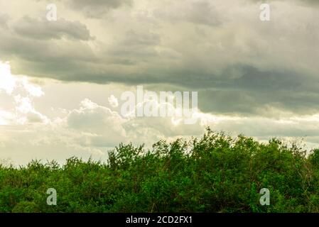 Cumulonimbus rain-forming cloud in the tropics. In a cloud with typical development, the rain starts suddenly after its transition from cumulus conges Stock Photo