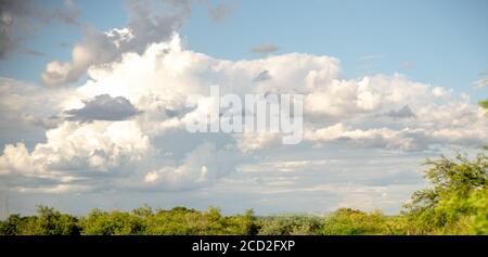 Cumulonimbus rain-forming cloud in the tropics. In a cloud with typical development, the rain starts suddenly after its transition from cumulus conges Stock Photo