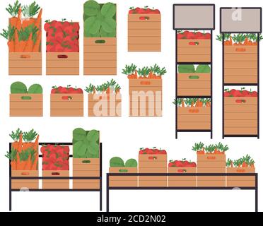 tomatoes lettuces and carrots inside boxes and shelves design, Vegetable organic food healthy fresh natural and market theme Vector illustration Stock Vector