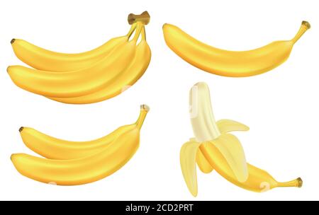 Realistic set of bananas isolated on white. Bunches of fresh yellow banana fruits. Tropical fruits vector illustration Stock Vector