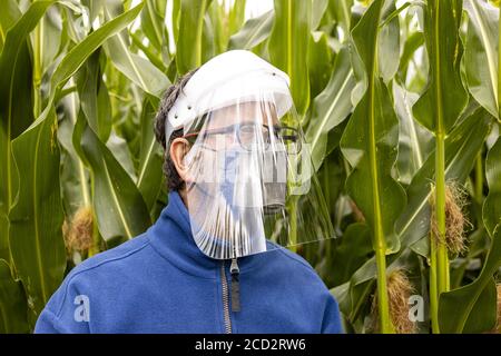 Agriculture pandemic concept. Stock Photo