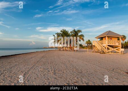 Palm trees on Miami Beach at sunrise, Florida, USA.