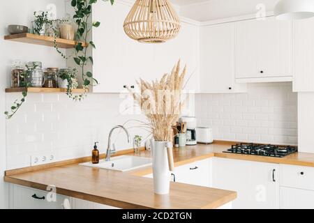 Modern white u-shaped kitchen in scandinavian style. Open shelves in the kitchen with plants and jars. Autumn decoration, selective focus on foregroun Stock Photo