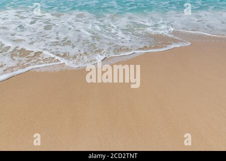 Tropical beach and turquoise sea background Stock Photo