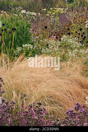Detail of the beautiful garden at Hauser & Wirth, Somerset by Piet Oudolf Stock Photo