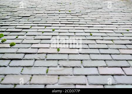 GARDENSTOWN, SCOTLAND - 2016 OCTOBER 22. Part of an old weathered slate tile roof as a background.Closeup detail pattern of grey stone tiles. Stock Photo