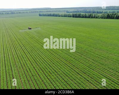A tractor works in a field in Qiqihar city, northeast China's Heilongjiang province, 1 July 2020. Stock Photo