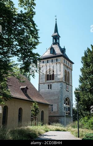 St. Martin Church, Arbon, Switzerland, Stock Photo