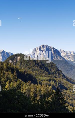 Distant paraglider flying over coniferous forest hills and alpine mountain range. Paragliding, nature, tourism, mountaineering and forestry concepts Stock Photo