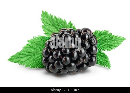 blackberry with leaf isolated on a white background closeup. Clipping path and full depth of field Stock Photo
