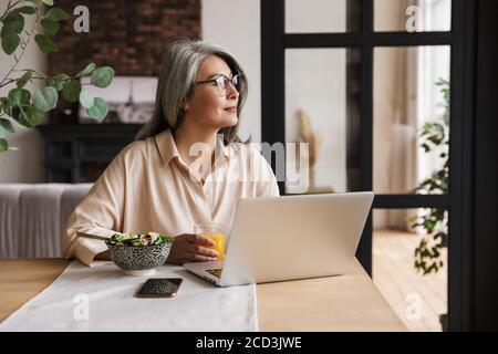 Image of mature thinking concentrated business woman indoors at home using laptop computer Stock Photo