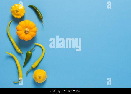 Fresh harvest of zucchini, yellow pattisons and peppers on a blue background Stock Photo