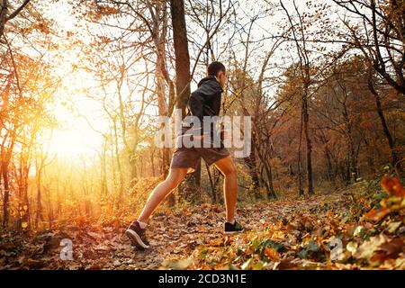 Concept of sport and active lifestyle. A young man is Jogging in the autumn forest. Back bottom view. Stock Photo