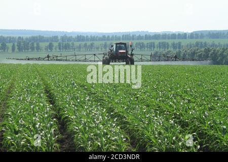 A tractor works in a field in Qiqihar city, northeast China's Heilongjiang province, 1 July 2020. Stock Photo