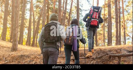 Three young friends backpackers exploring forest together Stock Photo