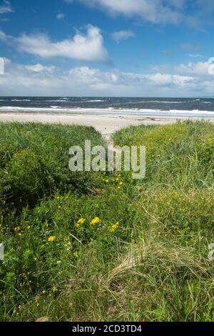 Looking through the Machrihanish Dunes onto the beach and sea beyond on Kintyre, Argyle and Bute, Scotland. Stock Photo