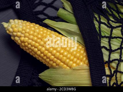 One bright yellow peeled corn on cob on a black background in black shopping net with husk Selective focus Stock Photo