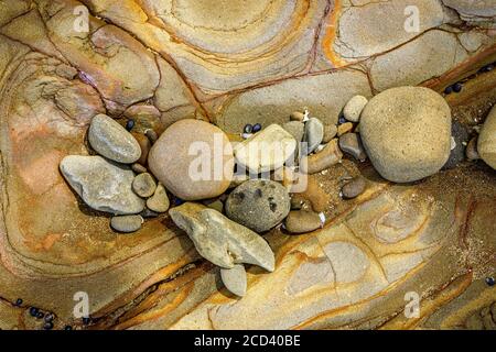 Close-up details of geological mud rock formations on Buckleton Beach, New Zealand. Stock Photo