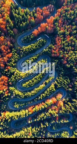 Carpathian Mountains, Romania. Winding road in fall forest scenery, mountain landscape. Stock Photo