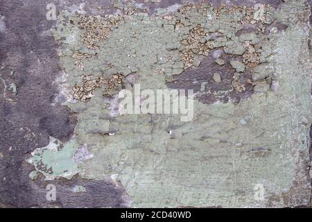 Aged grounge wall texture as a background Stock Photo