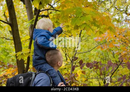 Father with his son on his shoulders walking in the autumn forest. Side view Stock Photo