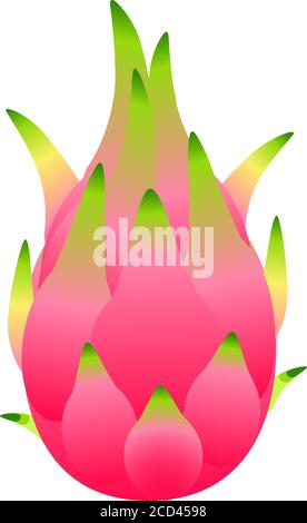 Dragon fruit, pitahaya. Healthy eating. Exotic tropical fruit. Vector illustration isolated on white. Stock Vector