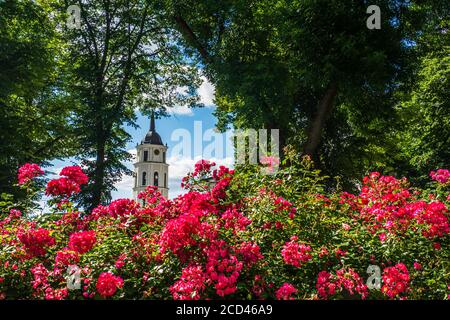 Vilnius Cathedral Bell Tower. Beautiful angle Shot Stock Photo