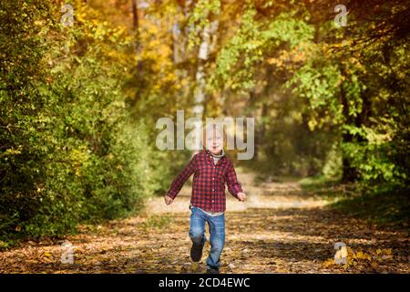 Blond boy in a plaid shirt runs down the autumn alley. Stock Photo