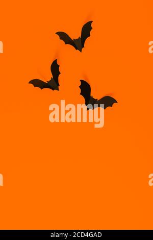 Cartoon halloween background black bats on orange backdrop. Bright holiday backdrop for your design. Dark and moody background. Place for text. Stock Photo