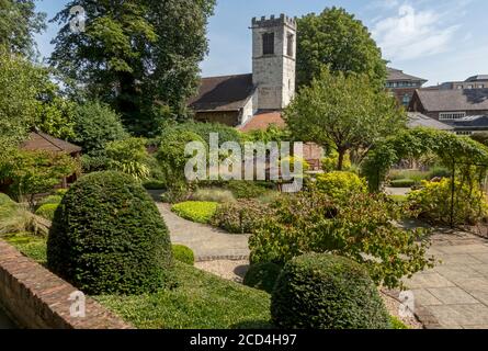 Sensory garden in the grounds of St Anthony's Hall in summer York North Yorkshire England UK United Kingdom GB Great Britain Stock Photo