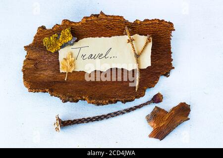 Autumn vibes travel memories, dried plants and flowers, copy paste space, letter and words on the old paper, herbarium theme. Stock Photo