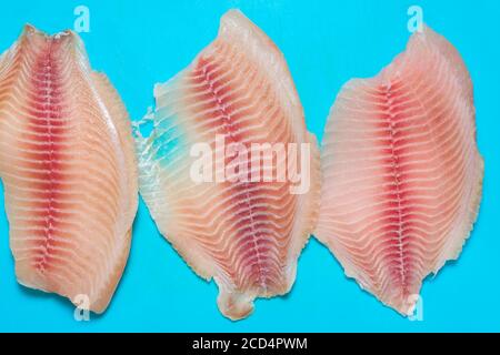 Whitefish Tilapia Fish Raw Fillet. Selective focus. To close. top view