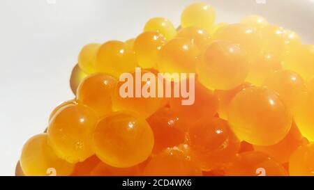 close-up giant sea catfish roe, arius thalassinus, fish eggs Stock Photo