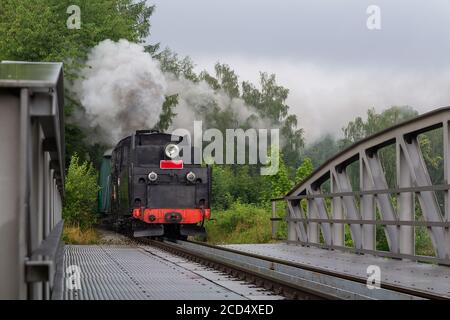 Steam engine locomotive train ride on narrow gauge track on rain bridge Stock Photo