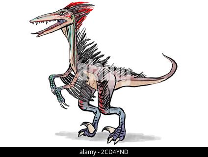 A velociraptor dinosaur with plumage feathers illustration Stock Photo