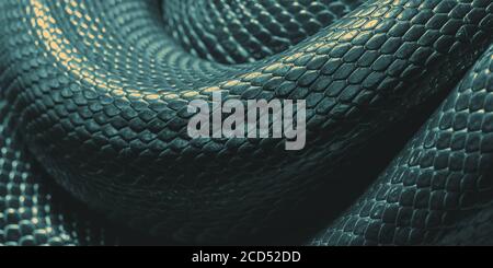 Snake skin texture. Close-up. Background surface Stock Photo
