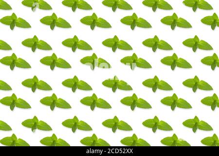 Pattern of fresh vegetables isolated on creative colored texture Stock Photo